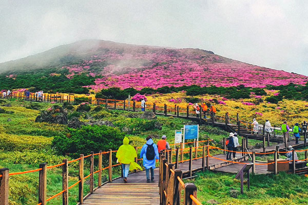 Jeju